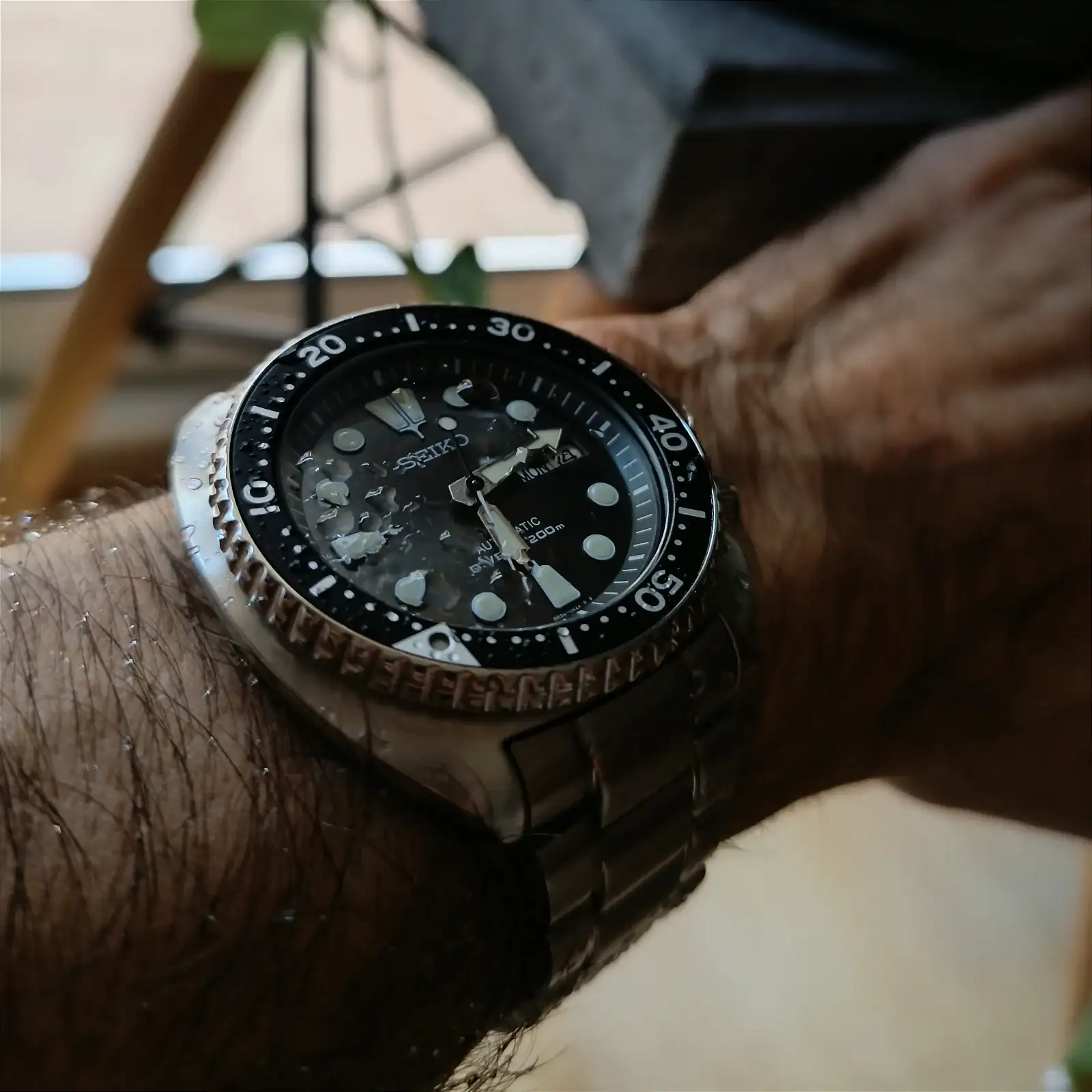 IMG_20250414_181635.webp