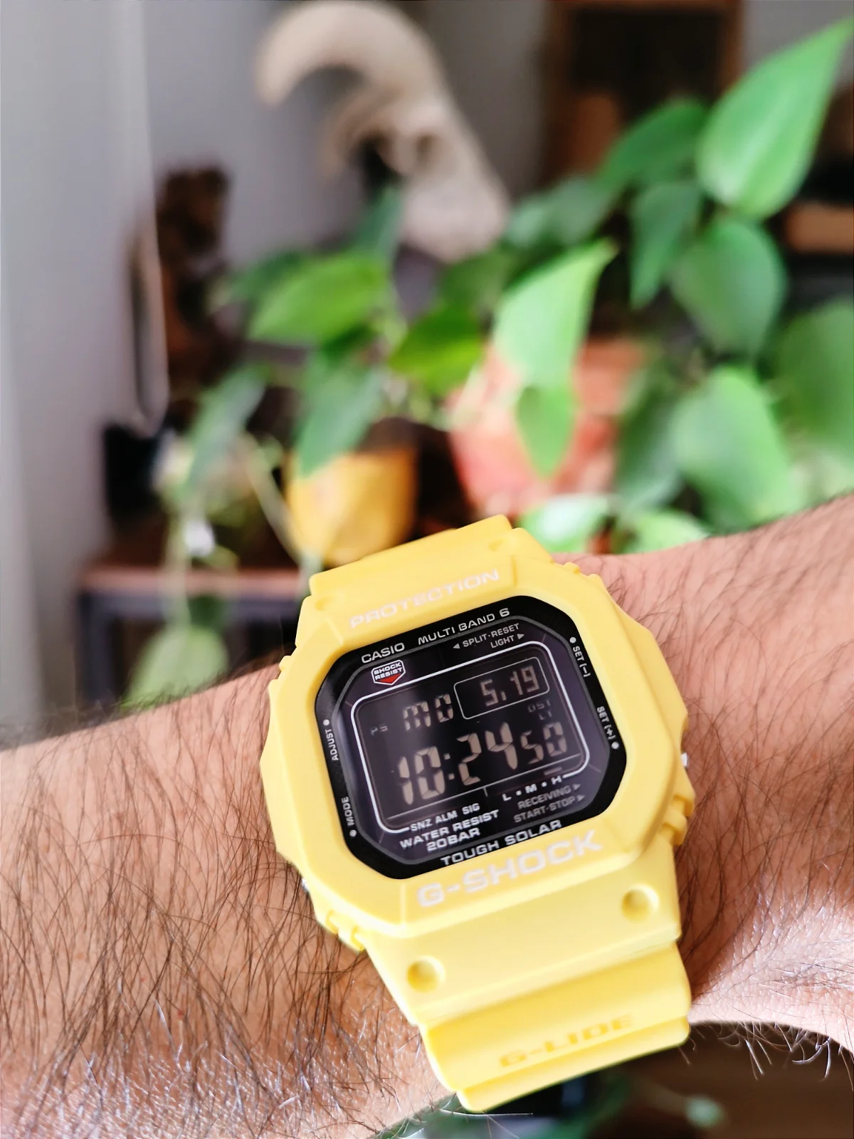 IMG_20250519_102945.webp