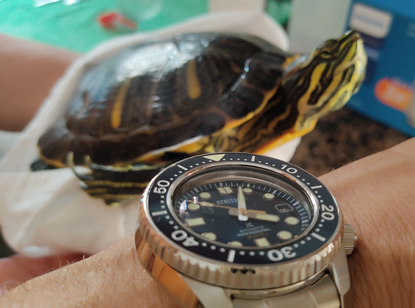 IMG_20250627_160413.webp