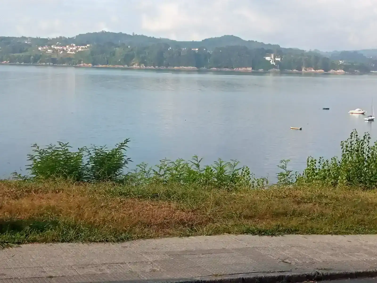 IMG_20250825_100520.webp