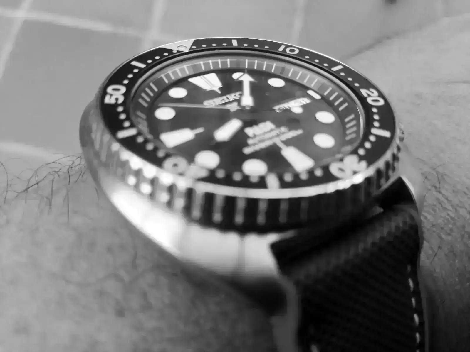 IMG_20250831_080845.webp