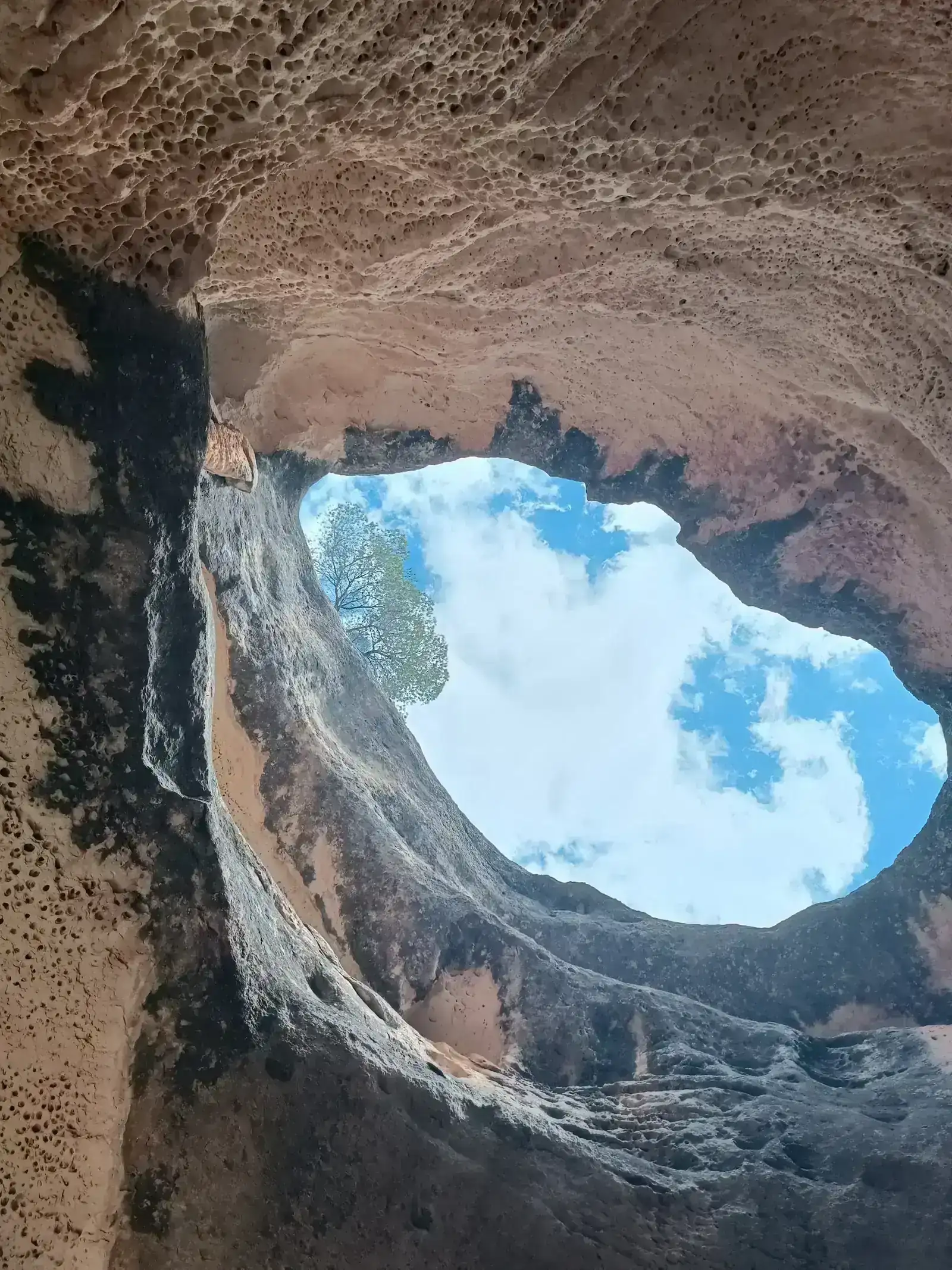 IMG_20260505_125959.webp