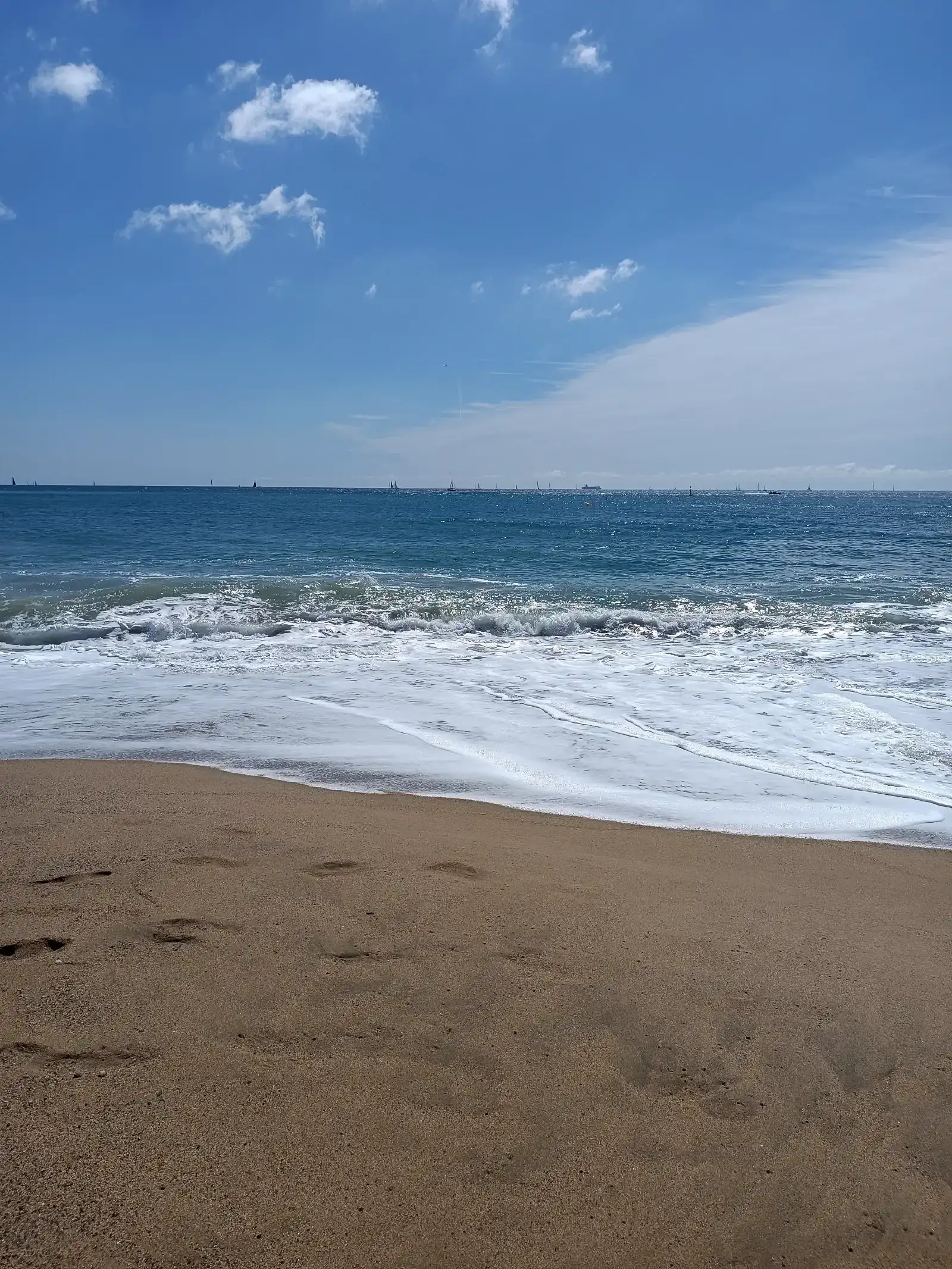 IMG_20260510_114952.webp