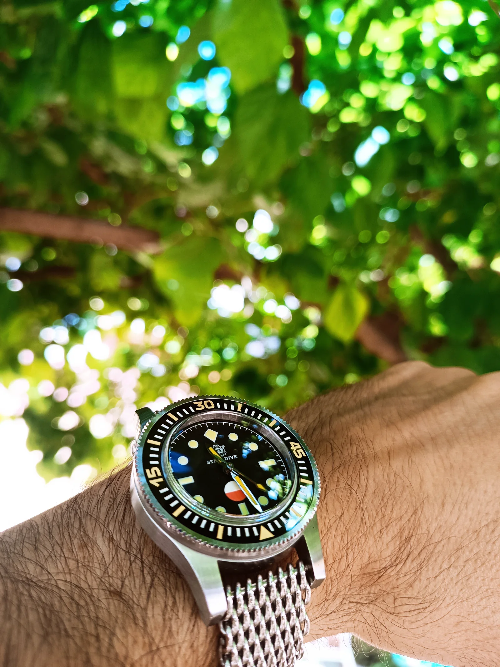 IMG_20260523_113254.webp