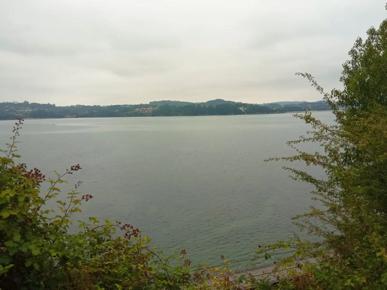 IMG_20260707_100952.webp