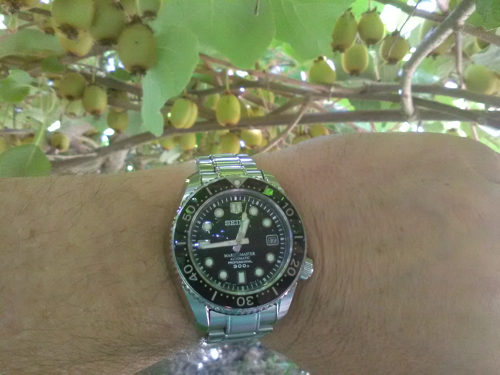 IMG_20260717_124450.webp