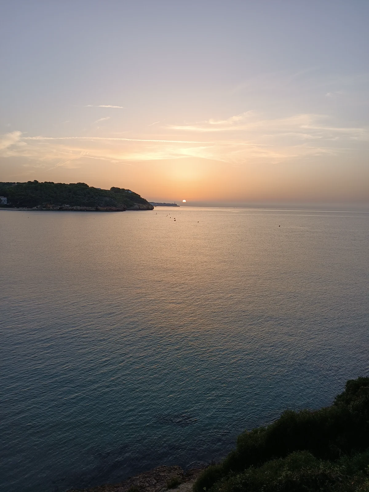 IMG_20260906_073203.webp