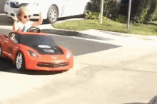 IMG_2118.gif