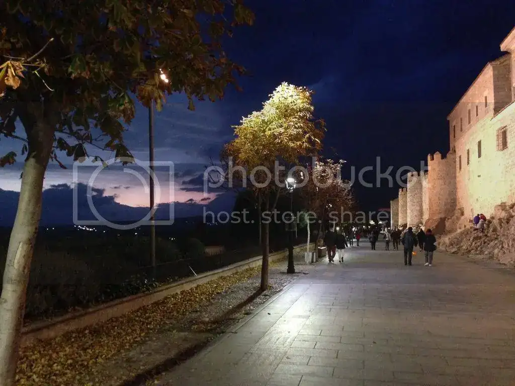 IMG_2458_zpsu5zur5tz.webp