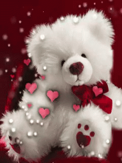 IMG_2527.gif