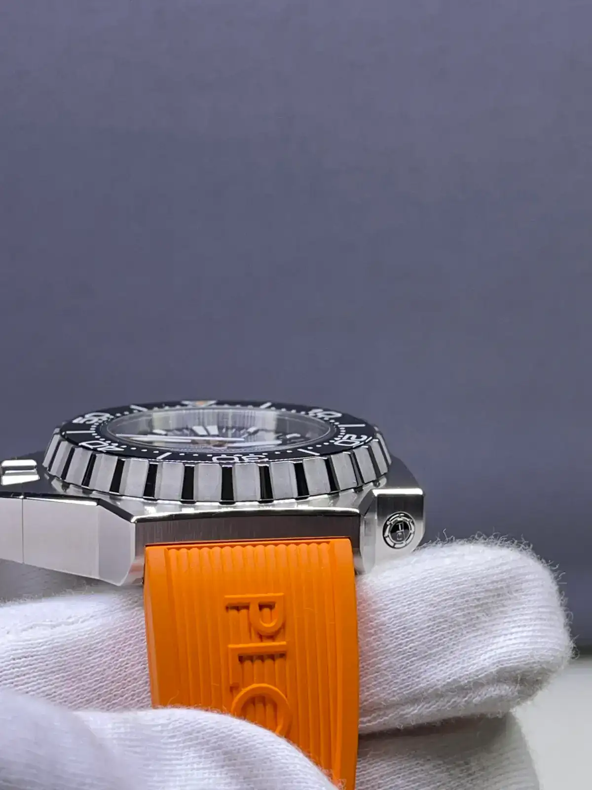 IMG_2594.webp