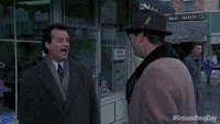 IMG_2637.gif
