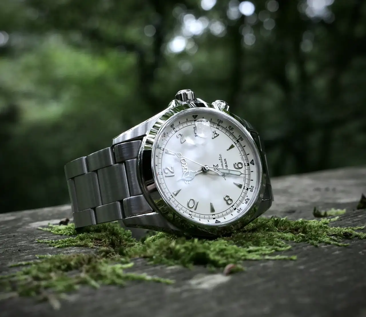 IMG_2895.webp
