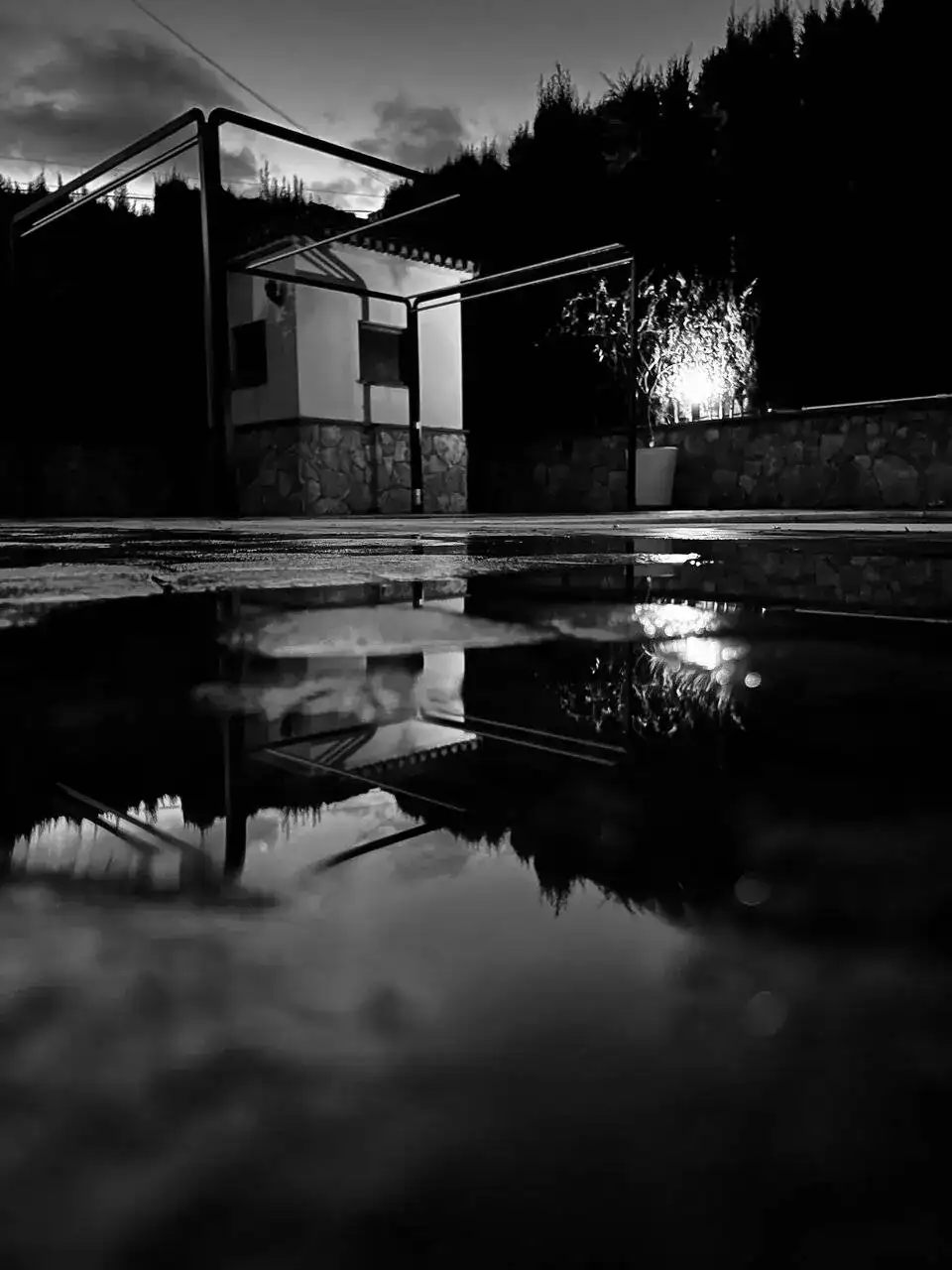 IMG_3643.jpeg