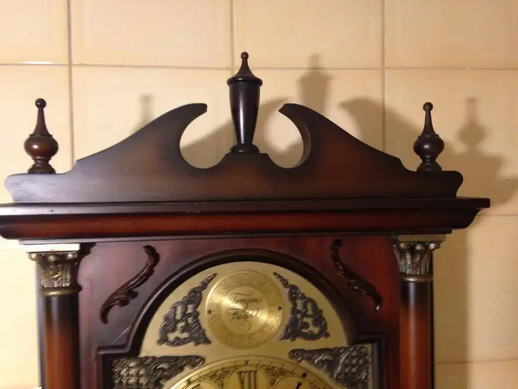 Reloj de pared radiant tempus fugit shop