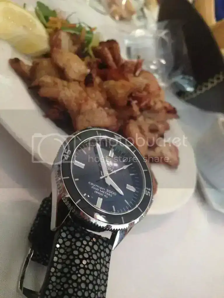 IMG_3918_zps65339ccc.webp
