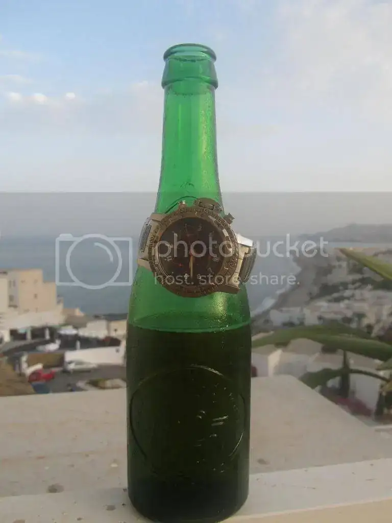IMG_3941_zpsfmh10fuz.webp