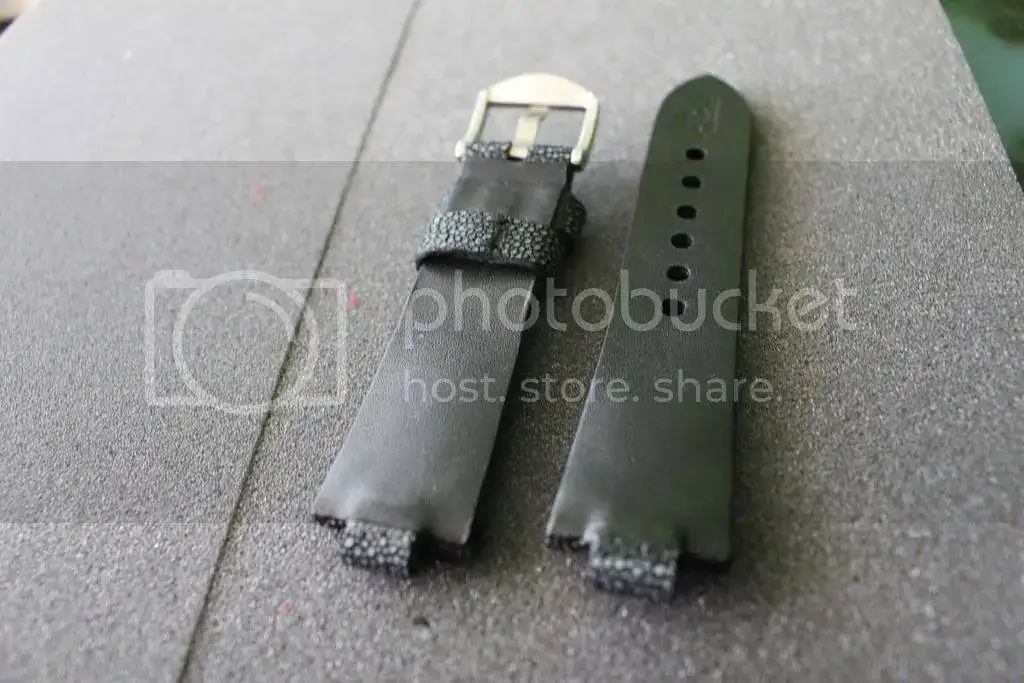 IMG_4132_zpsvevlrg9h.webp