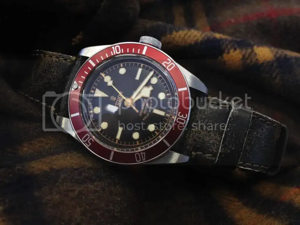 IMG_4269_zpsc1ceb6f4.webp