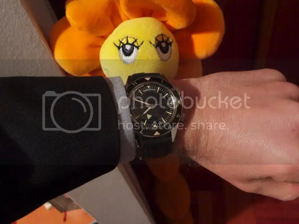 IMG_4440_zps92h64tyz.webp