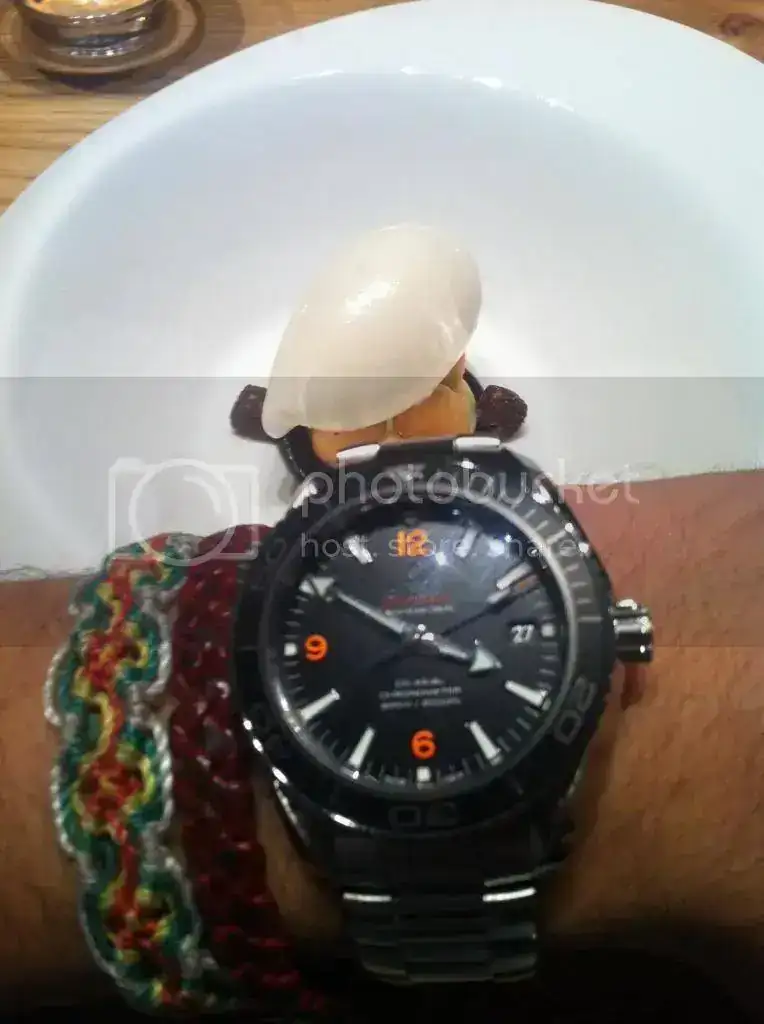 IMG_4444_zps70fe78af.webp
