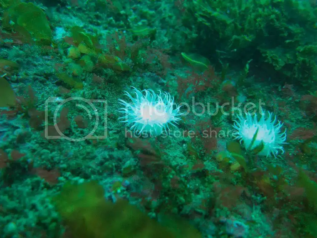 IMG_4779_zps7knzhme9.webp