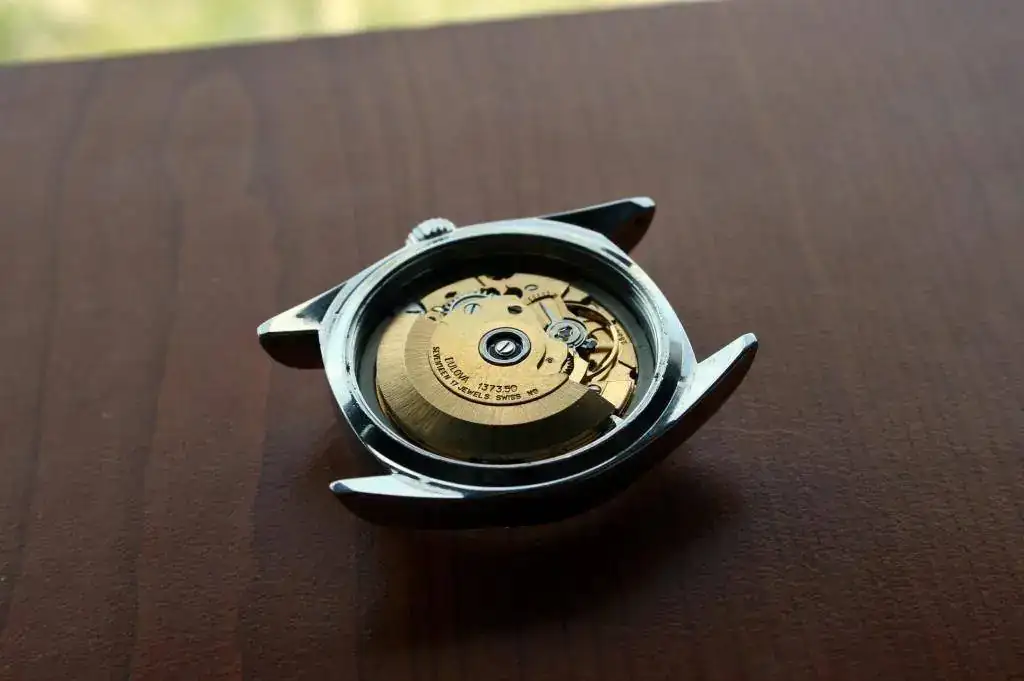IMG_4918_zps1bf0b620.webp