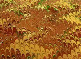 IMG_5023R.webp