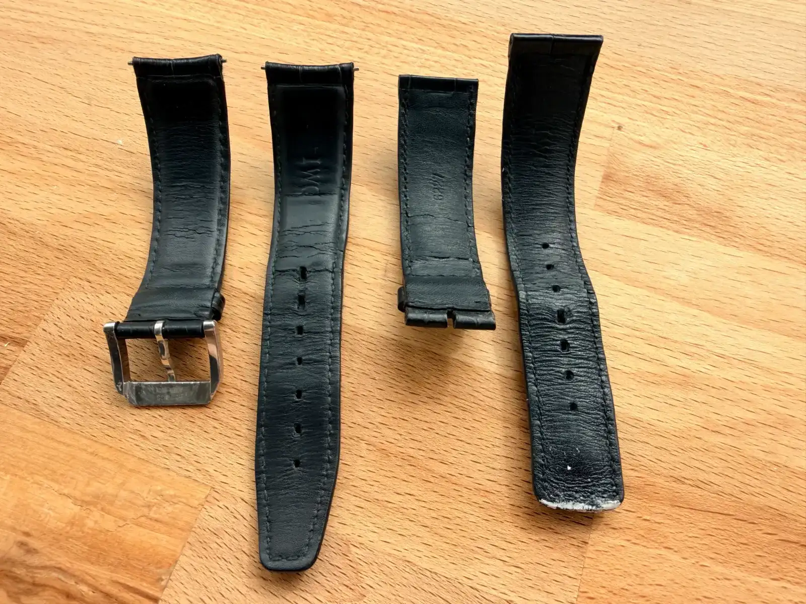 IMG_5231.webp