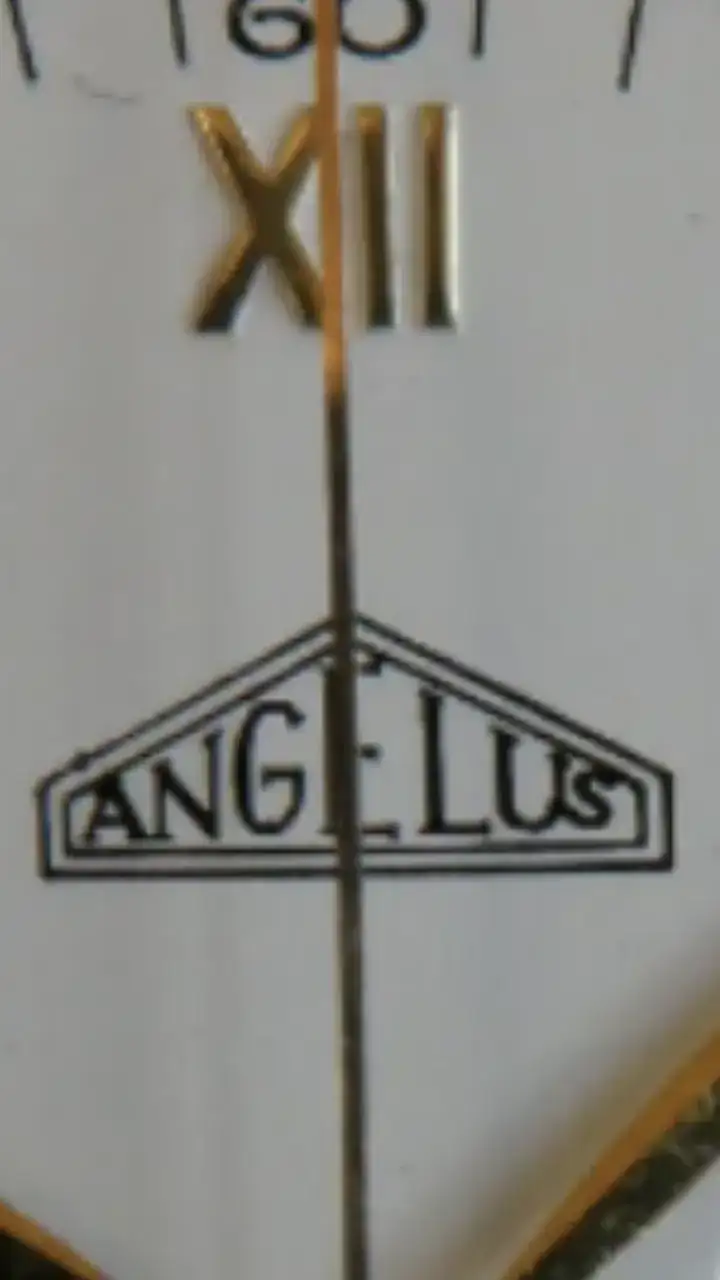 IMG_5303.png