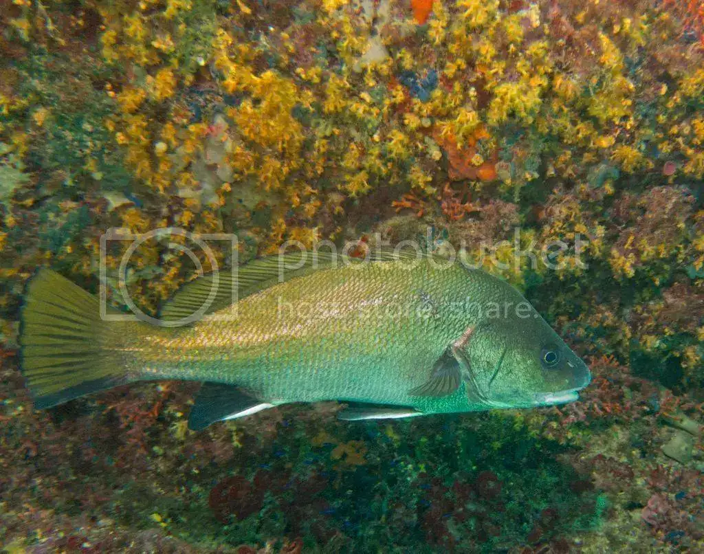 IMG_5532_zpst2mdu6cx.webp