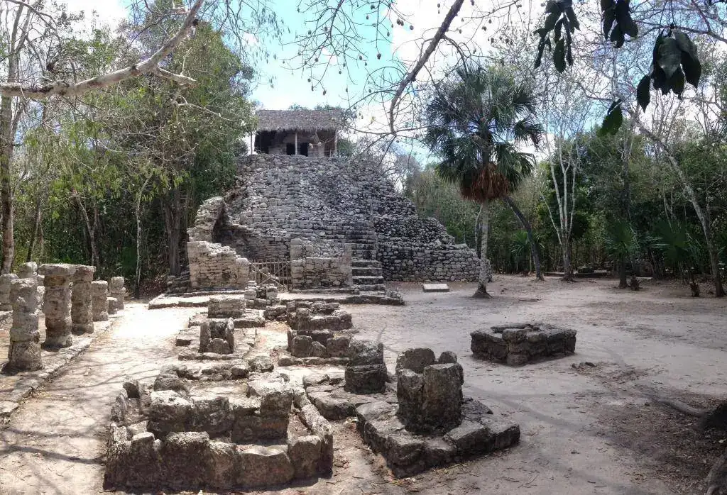 IMG_5961 - copia.webp