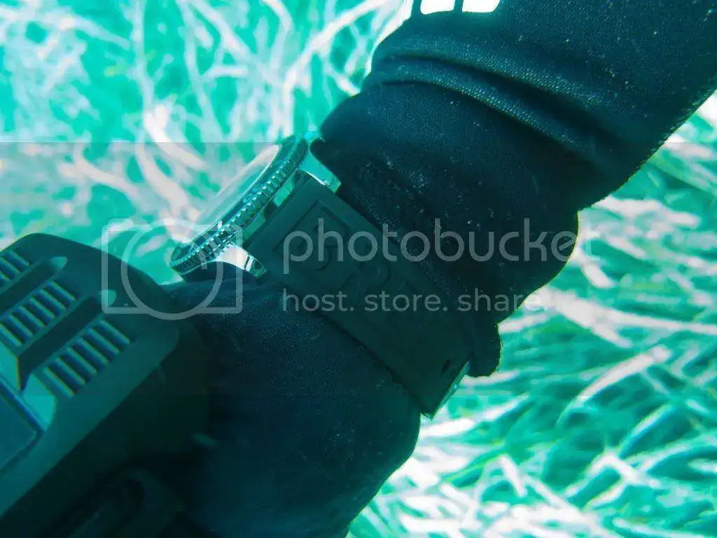 IMG_6269_zps4pin9i5t.webp