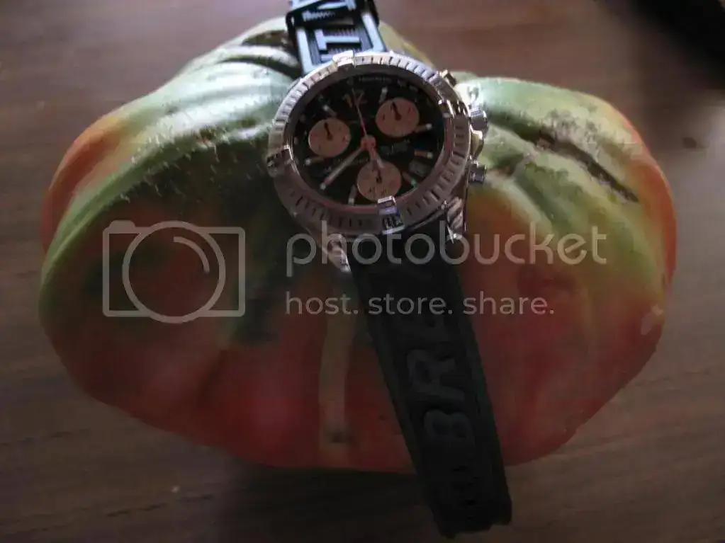 IMG_6376_1546x1159.webp