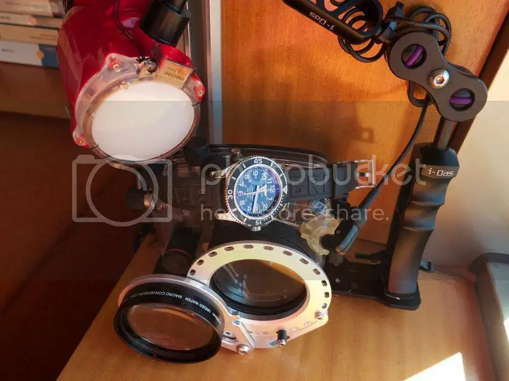 IMG_6414_zps0zw2jjst.webp