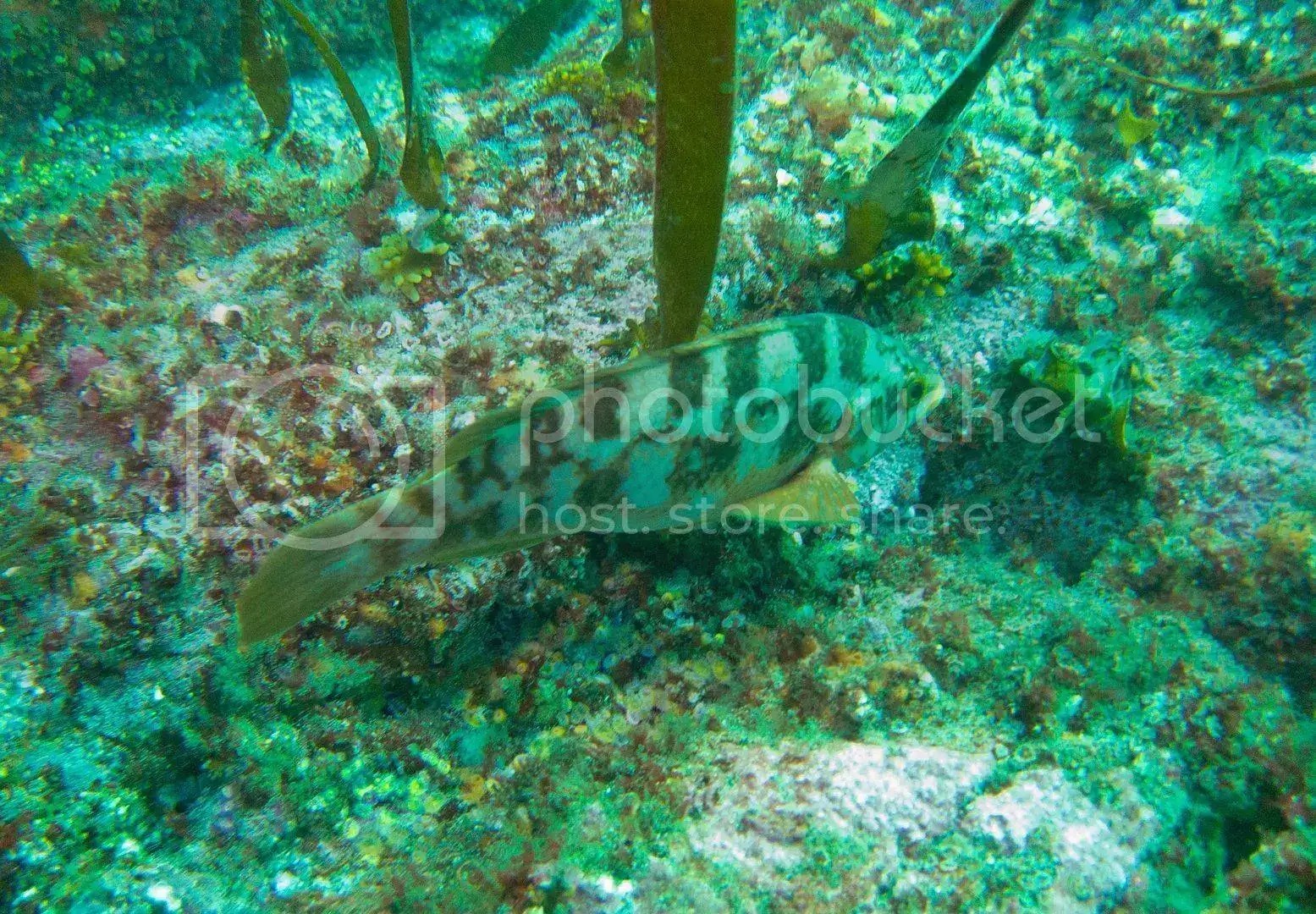 IMG_6679_zpsvorgg5eb.webp