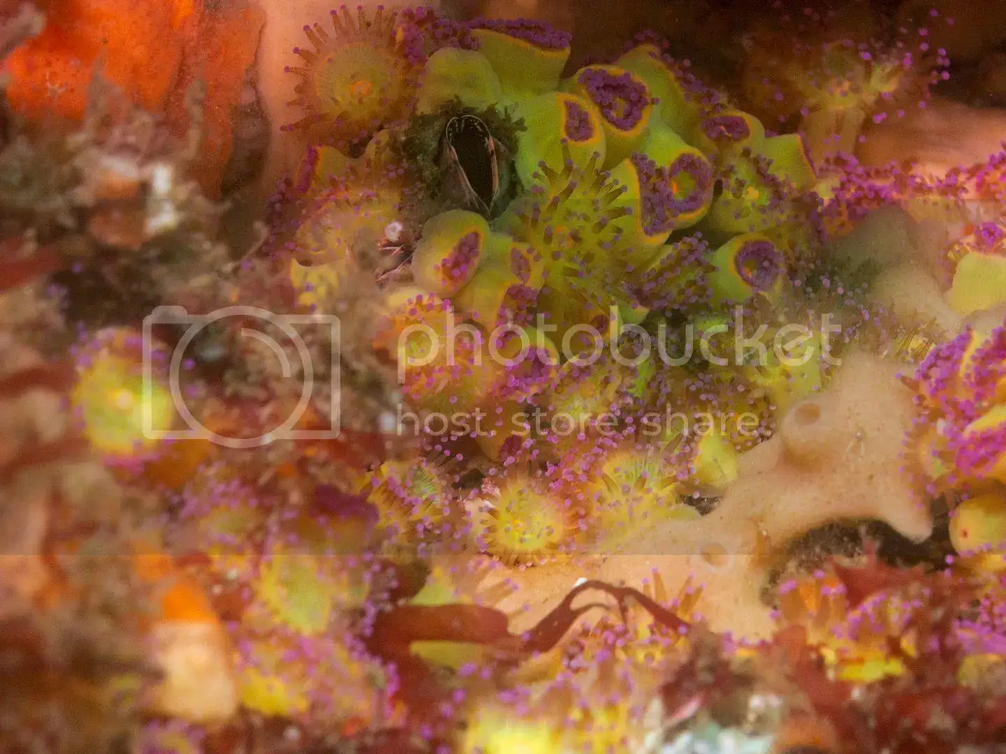 IMG_6737_zpsv49trc4z.webp
