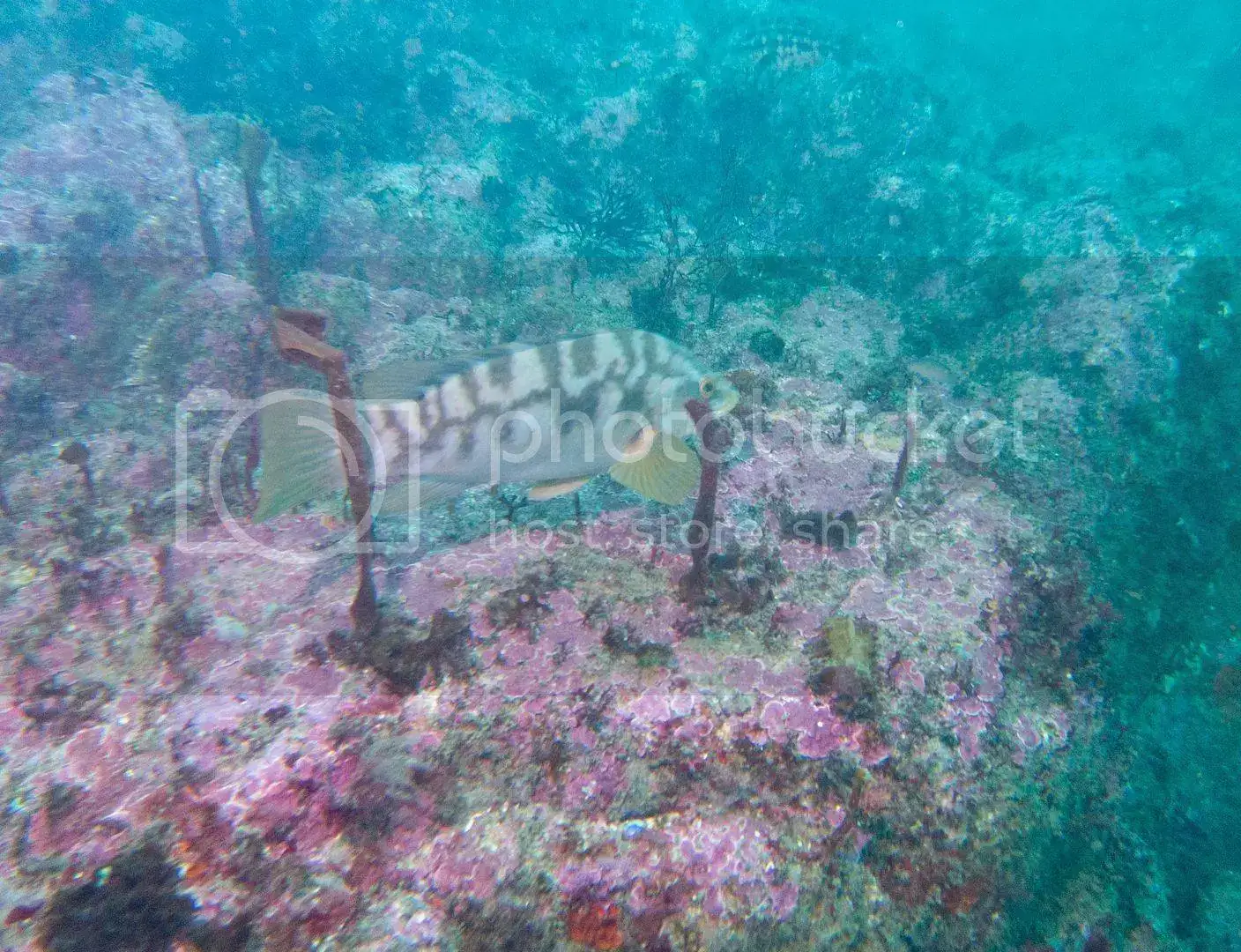 IMG_7312_zpsmftaj7cx.webp