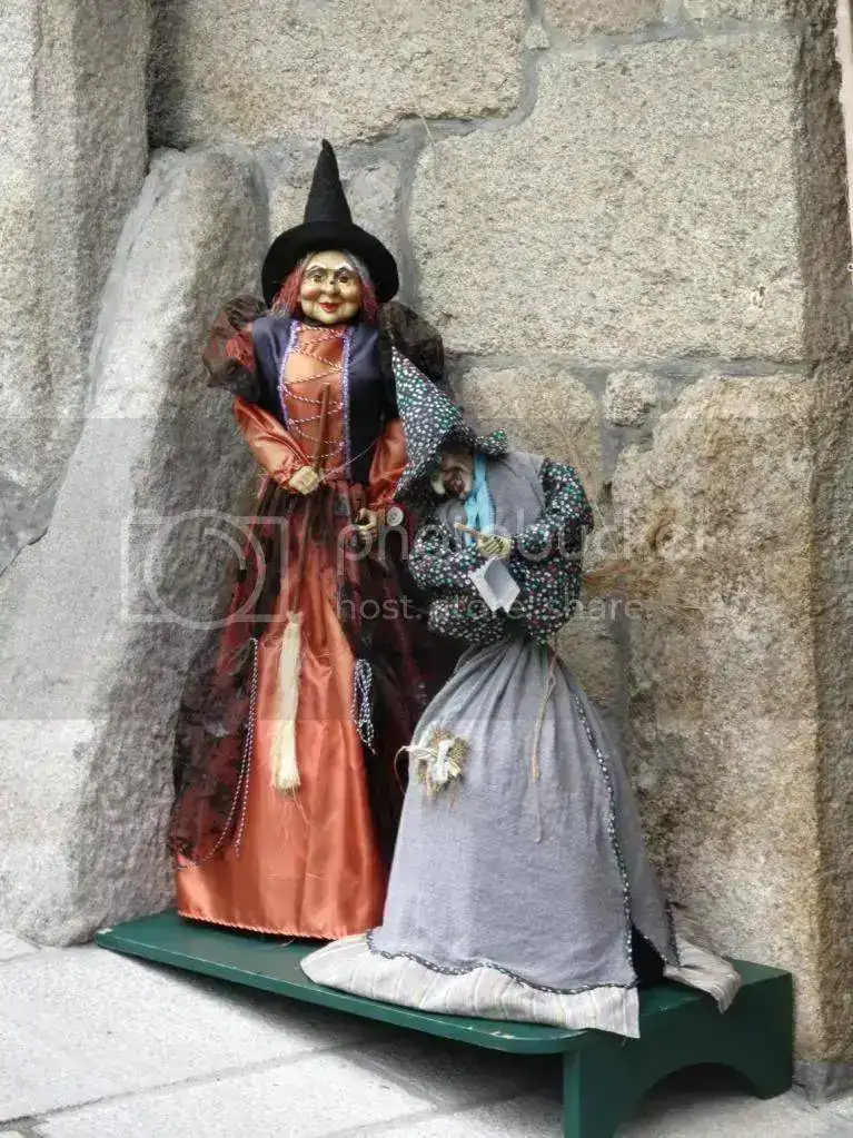 IMG_7346_1159x1546.webp