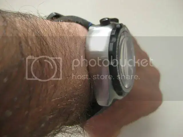 IMG_7355_zpsstqgl4sd.webp