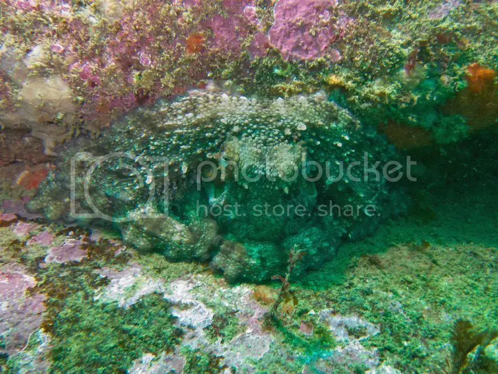 IMG_7605_zpsc1ndpu3k.webp