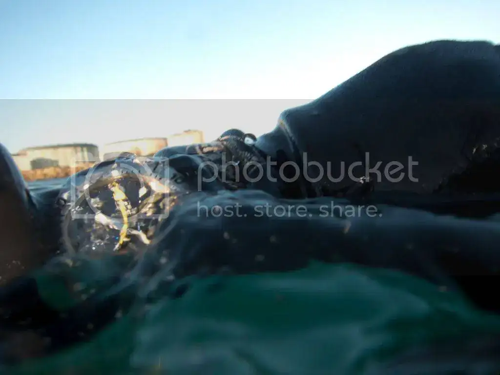 IMG_7877_zps1ngc2vrz.webp