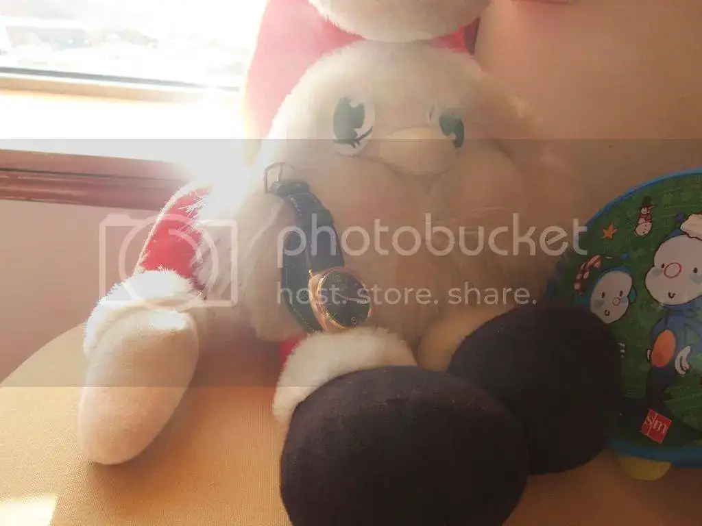 IMG_7995_zpskhkeekyh.webp
