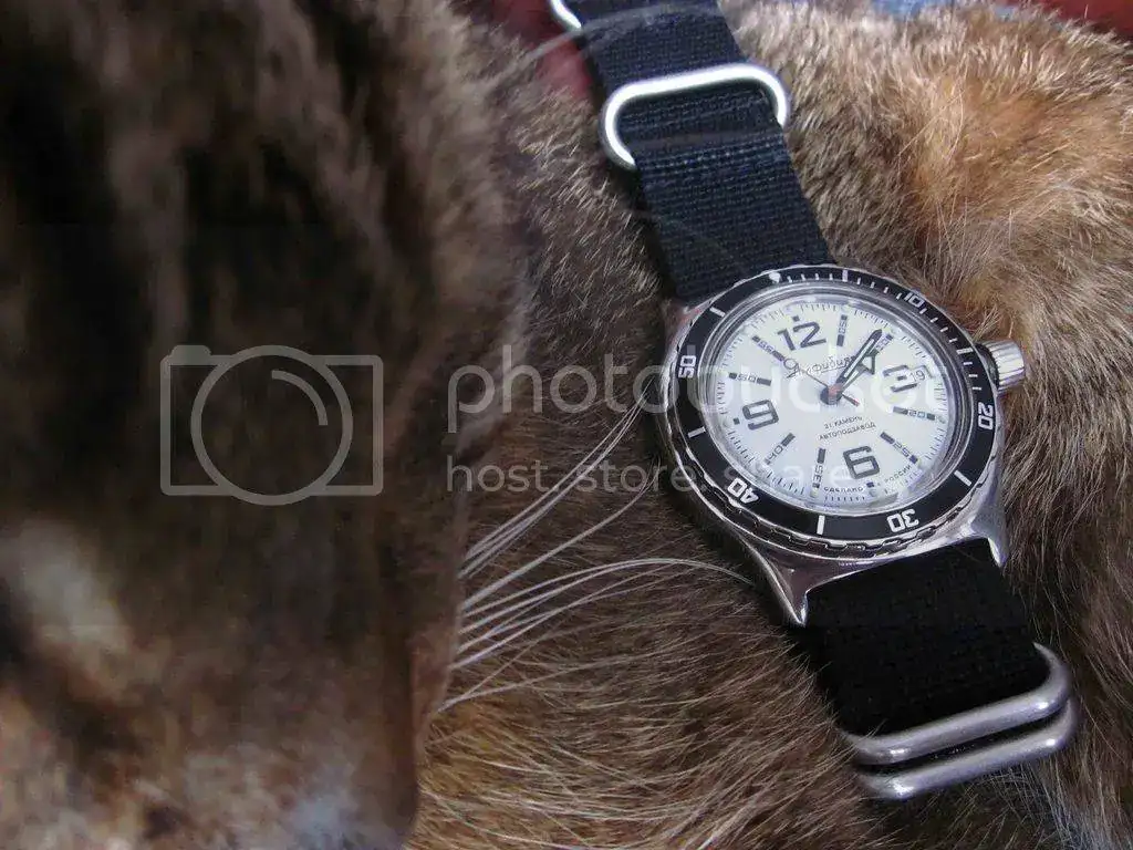 IMG_8049_zpst40mo1ct.webp