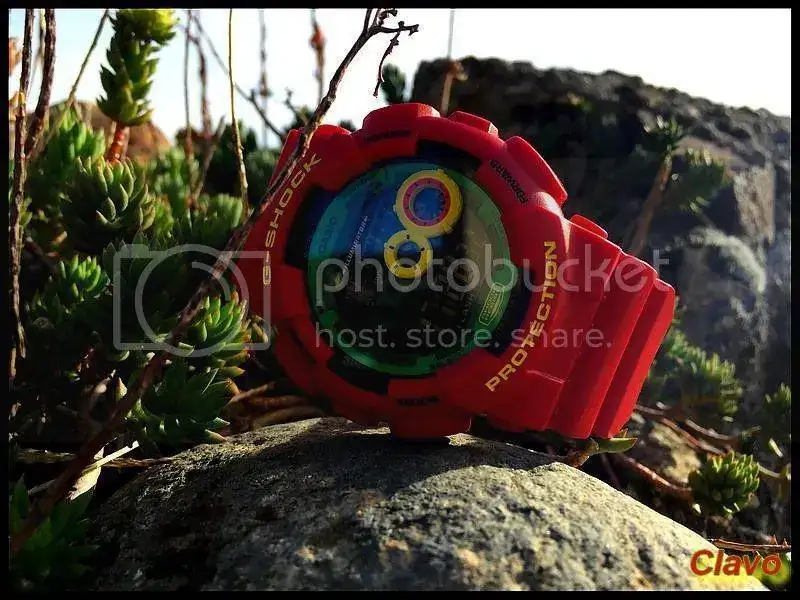 IMG_8317_zps1pqgnl7v.webp