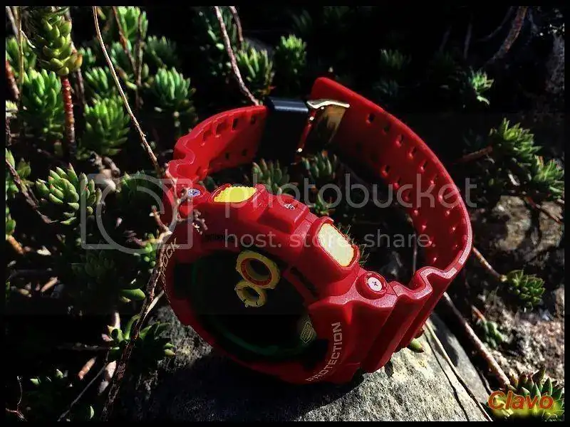 IMG_8318_zps7cyvab6j.webp
