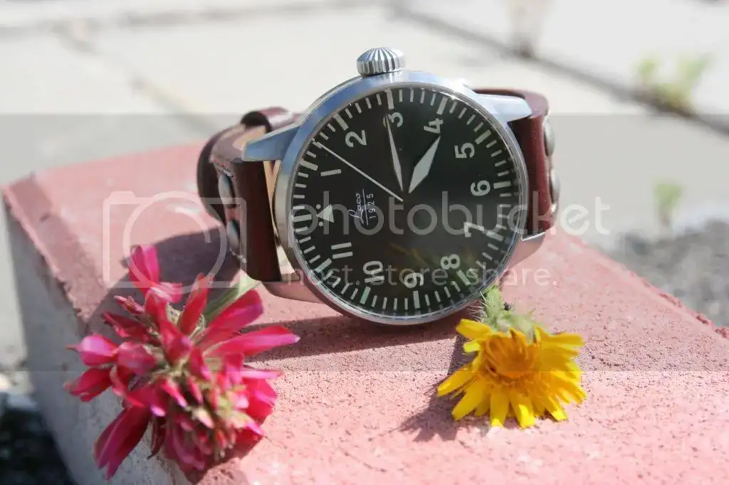IMG_8321_zps5b3f0039.webp