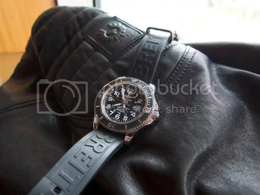 IMG_9319_zps1faicog2.webp
