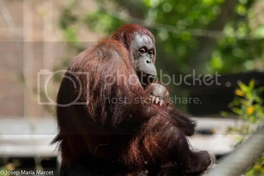 IMG_9723_zps74iul5np.webp