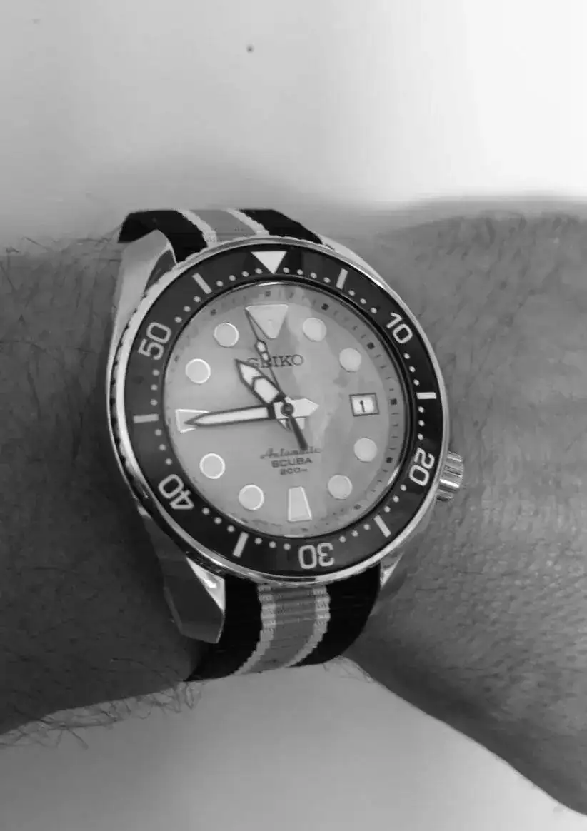 IMG_B_W_2023080124.webp